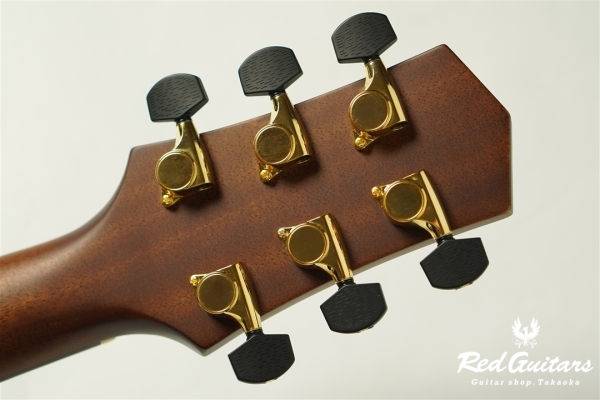 F130-GA Sitka Spruce / Indian Rosewood